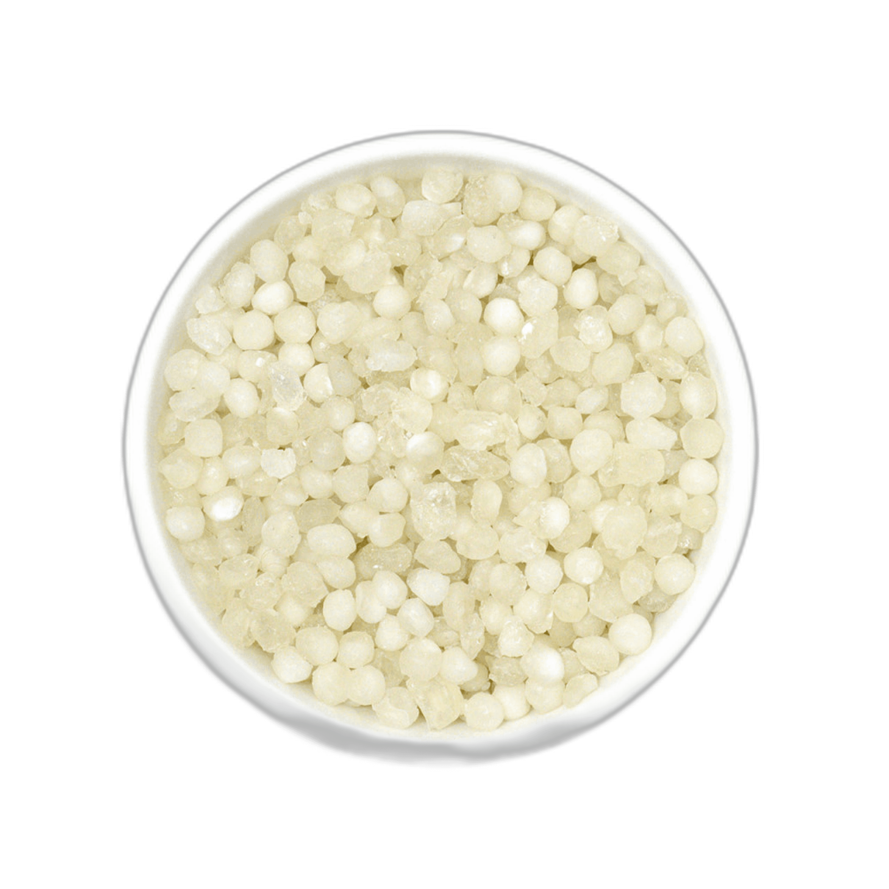 Sago Seed Big 100 g