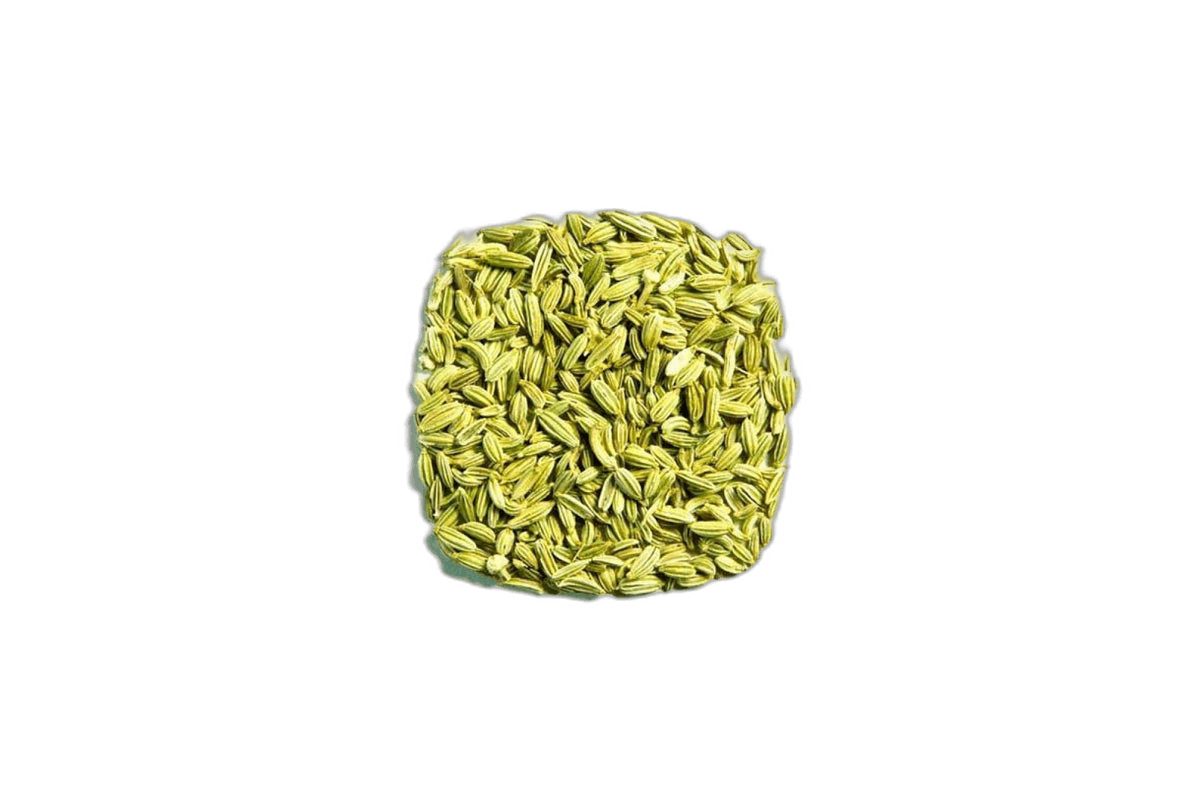 99 Spices Fennel Seeds 100 g