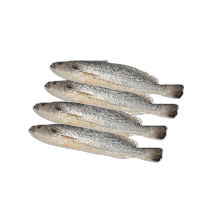 Fresh Nuwaibi Fish 1 kg Packet