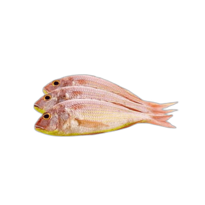 Fresh Sultan Ibrahim Fish 1 kg Packet