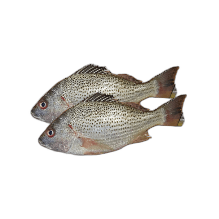 Nagroor 2 kg