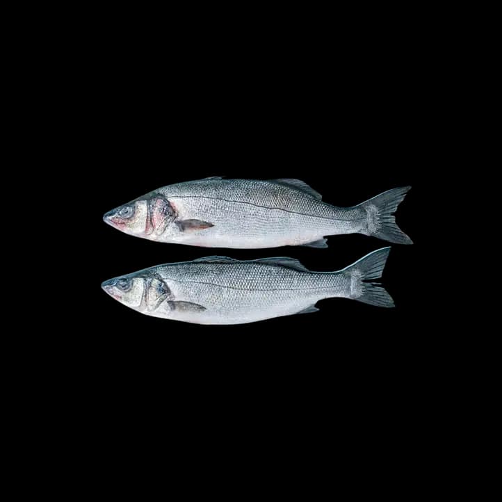 Sea Bass per kg