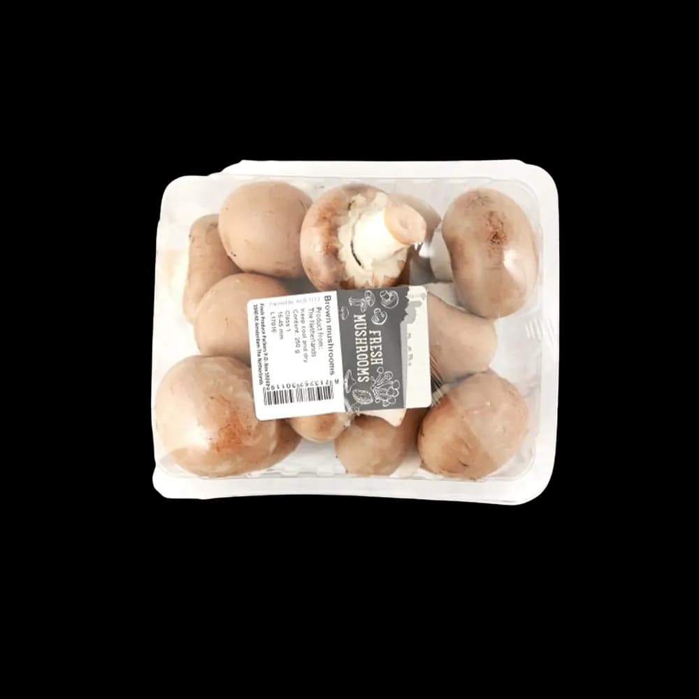 Mushroom Brown Holland Box