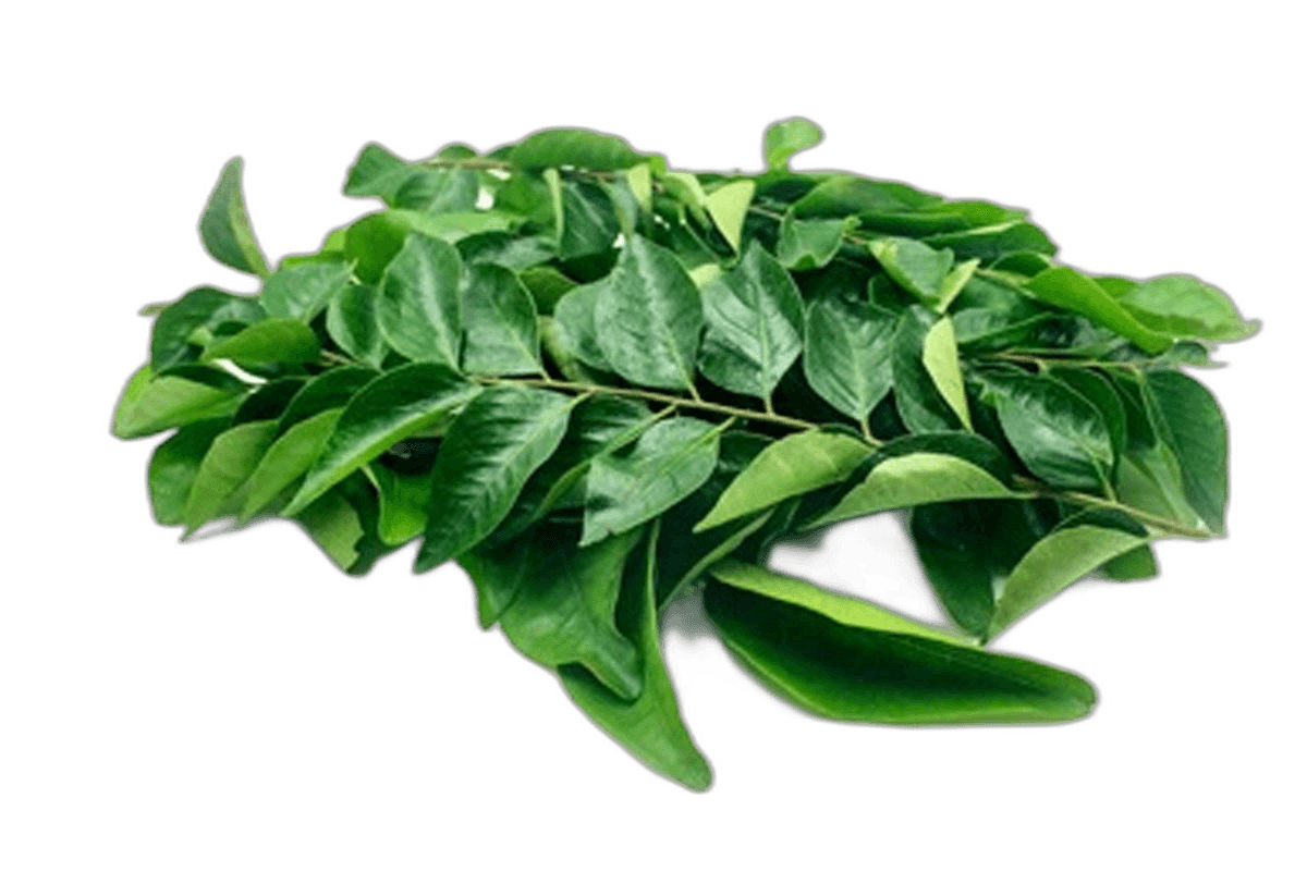 Curry Leaves Pieces