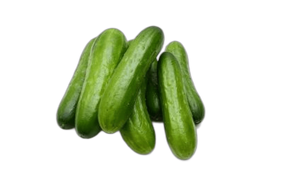 Cucumber Kuwait 1 kg