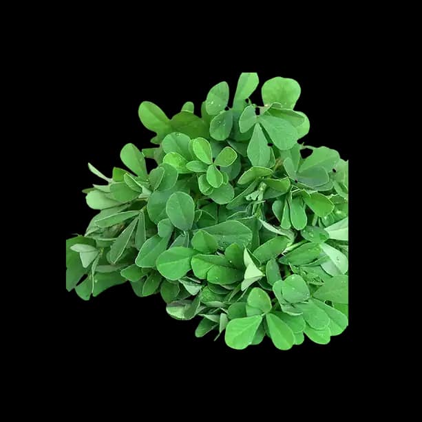 Methi Leaves Piece