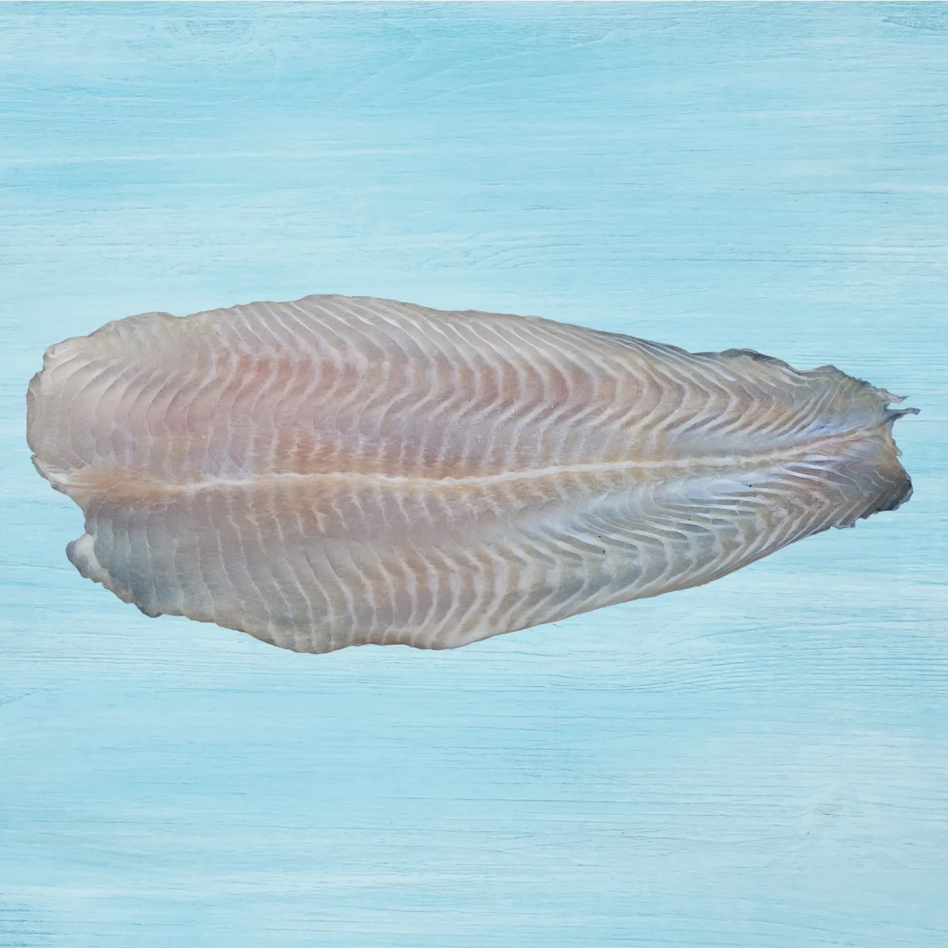 Bibe Creme Dori Fish Fillet 1 kg