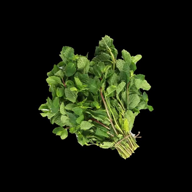 Mint Leaves India Bunch