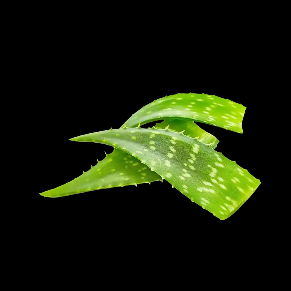 Aloe Vera, 1kg