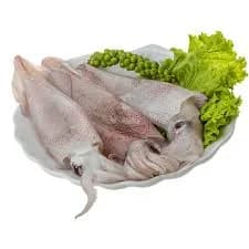 Fresh Squid Medium per kg