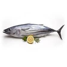 Fresh Tuna Large per kg